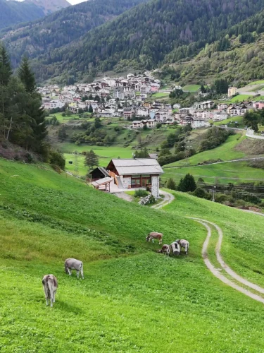 Lòni Lodge - Vermiglio, Val di Sole (Trento) Lòni Lodge - Vermiglio, Val di Sole (Trento)